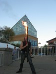 tn aquarium