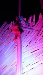 Aerial Silks