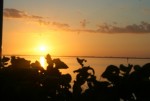 Florida Sunset on the Dock
