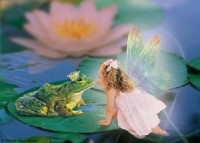 FairyTale Dreams Theme Parties For Children - Pirate Entertainment in Melbourne, Florida