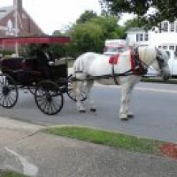 Fantasy Fun Carriage - Horse Drawn Carriage in Chesapeake, Virginia