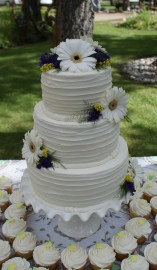 Fat Bottom Cakes