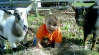Feathers To Fur...Animal Discovery & More!