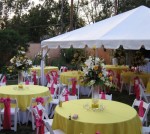 Jennifer's Wedding