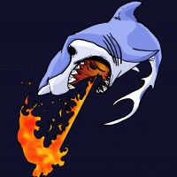 Fireshark Face Art - Henna Tattoo Artist in St Petersburg, Florida