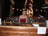 "Flair on the Fly" Bartending Service