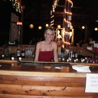 "Flair on the Fly" Bartending Service - Inflatable Movie Screen Rentals in Jefferson City, Missouri