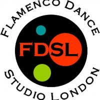Flamenco Dance London Performance Troupe - Dancer in Woodstock, Ontario