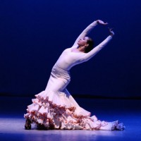 Flamenco dancer and Dance Instructor - Flamenco Dancer in , 