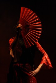Flamenco De Perfil