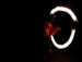 Fire Poi