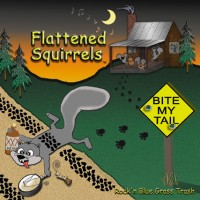 Flattened Squirrels - Classic Rock Band in Durham, North Carolina