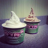 Flip 'n Dip FROZEN YOGURT - Caterer in Yonkers, New York
