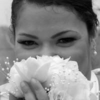 Flowers By Caroline - Event Florist in , 
