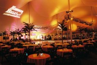 Flying Frog Events