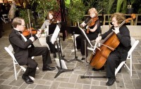 Fontainebleau Strings
