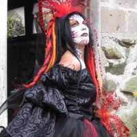 Foxy Faces - Face Painter in Grand Rapids, Michigan