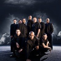 Son Salvaje - Merengue Band in Tampa, Florida