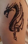 dragon