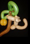 Monkey in a Tree