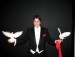 doves