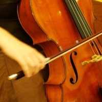 Gabri Cello - String Quartet in Providence, Rhode Island