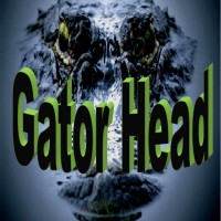 Gator Head - Southern Rock Band in Norfolk, Virginia
