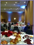 Professional LED Uplights Professional LED Uplights