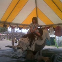 Great Lakes Bull Rentals LLC - Unique & Specialty in Sault Ste Marie, Ontario