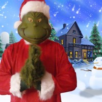 Green Christmas Costume Character - Children's Party Entertainment in Hermitage, Pennsylvania