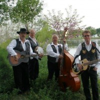 Greenbriarmountain - Americana Band in Elk Grove Village, Illinois