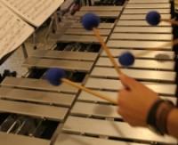 Grupo Monte NY - Percussionist in Selden, New York