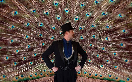 Peacock