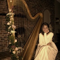Harpist Bridget Ranieri - Viola Player in Melbourne, Florida