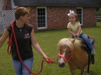 Hayes E Daze Ranch - Unique & Specialty in Beaumont, Texas