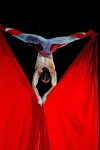 Red Silks