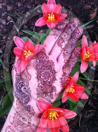 Henna Body Art by Victoria