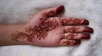 Henna Fun - Face Painter in Dearborn Heights, Michigan