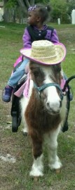 Hidden Creek Farms Animal Rescue Inc