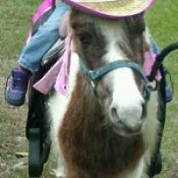 Hidden Creek Farms Animal Rescue Inc - Pony Party in Lakeland, Florida
