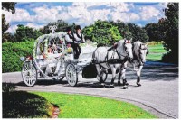 HighHorse Carriage Rides, Inc.
