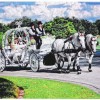 HighHorse Carriage Rides, Inc.