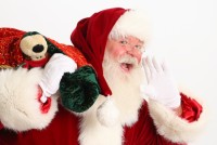 Home of Real Bearded Santas