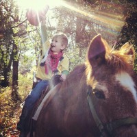 Honeysuckle Horse Farm - Pony Party in Maryville, Tennessee