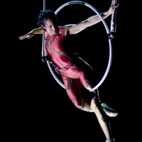 Hooparista - Circus & Acrobatic in Clarence-Rockland, Ontario