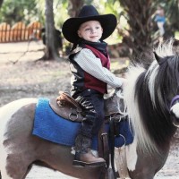 Horse Power for kids, Pony Party on Gig Salad
