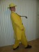 Charity Auction Costume Theme