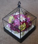 Table Top Dome