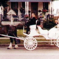 International Weddings & Carriage Rides - Horse Drawn Carriage in Erie, Pennsylvania