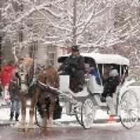 Irish Acres Carriage Company - Limo Services Company in Anderson, Indiana